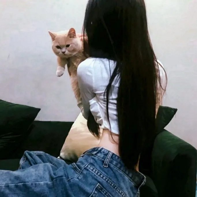 经纪人